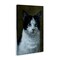 Stupell Industries Black & White Cat Angst Canvas Wall Art Design by Laura Mark-Finberg
